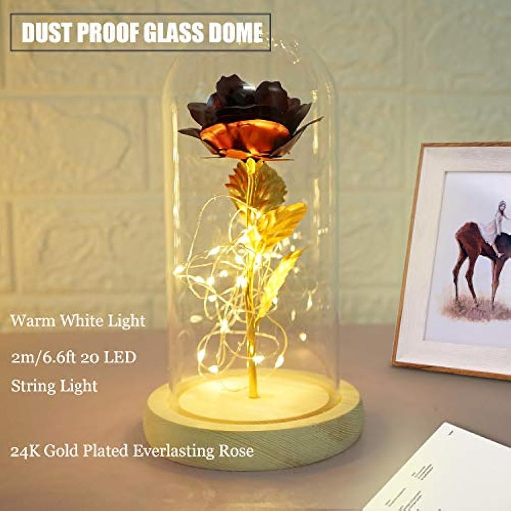 TINYOUTH 24K Gold Plated Red Rose in Glass Dome with LED Lights