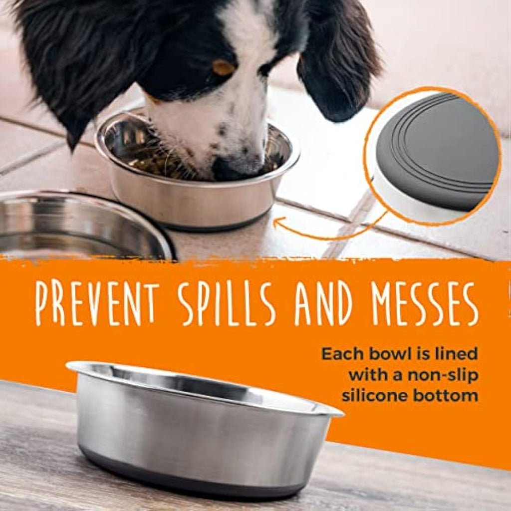 Mighty Paw Stainless Steel Dog Bowls – Non-Slip Silicone Base, 2-Pack