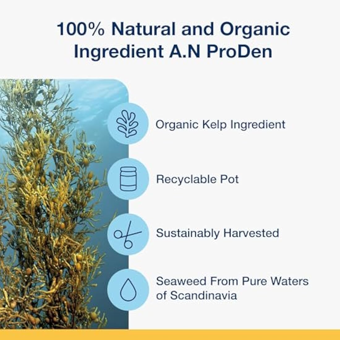ProDen PlaqueOff Powder - 100% Natural Seaweed Pet Dental Care - 180g