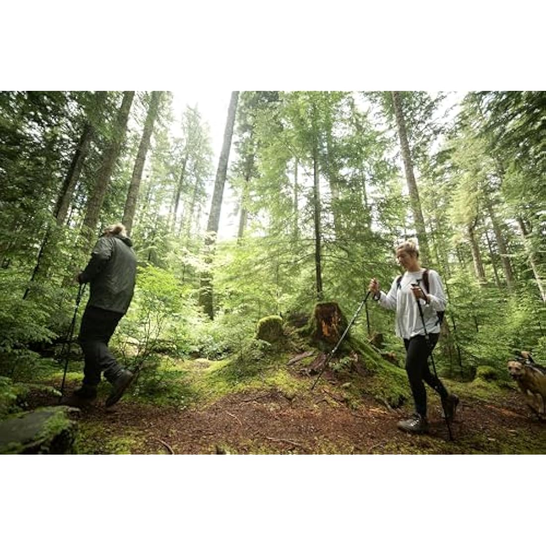Cascade Mountain Tech Trekkingstöcke aus Aluminium mit Korkgriffen