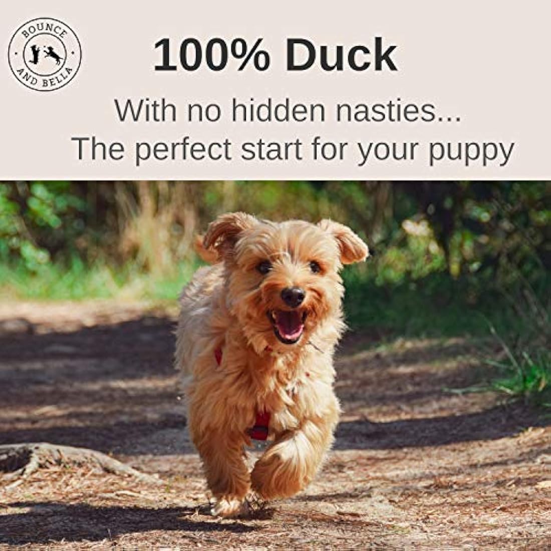 Bounce and Bella Pure Duck Nibbles - Natural Grain-Free Dog Treats (5 Pack)