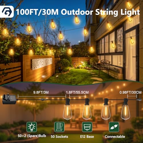 Festoon Lights – 100FT Waterproof ST38 LED Outdoor String Lights