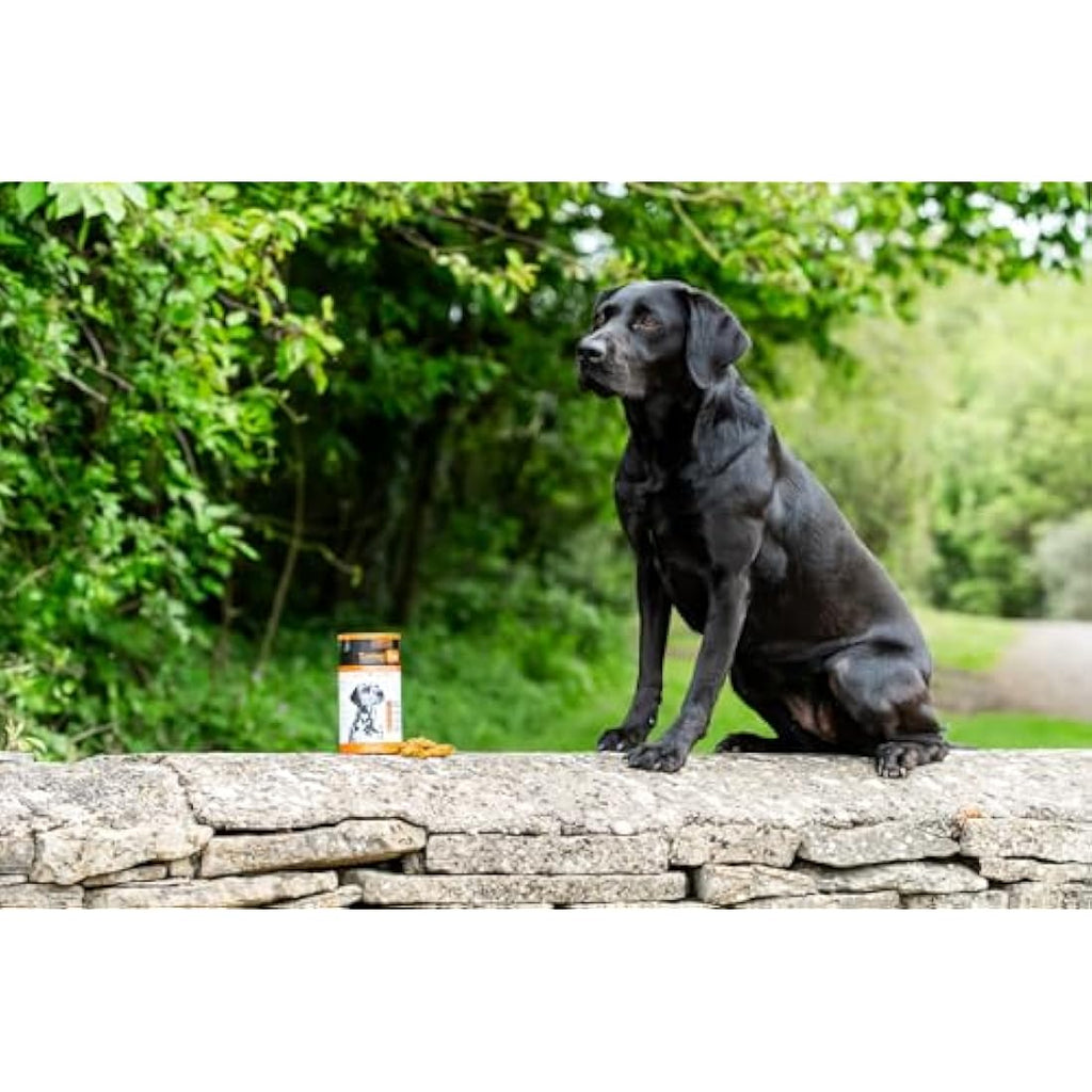 TurmerEase Chicken & Turmeric Joint Supplements for Dogs & Cats
