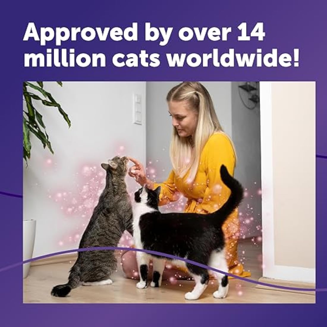 FELIWAY Friends Cat Calming Pheromone Diffuser Starter Kit | 30 Day Supply