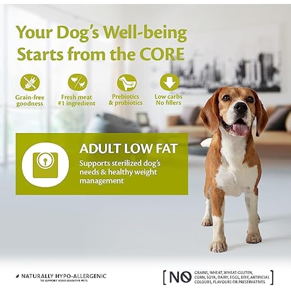 Wellness CORE Low Fat Dog Food | Grain-Free Turkey Kibble | 10kg