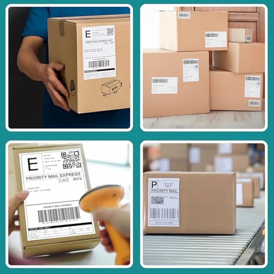 Double Dragon 4x6 Direct Thermal Shipping Labels – 5 Rolls, 1250 Labels