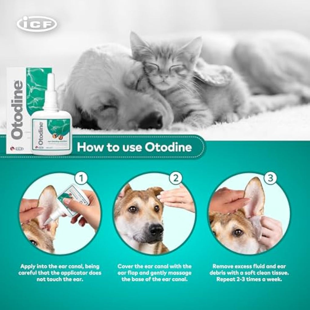 ICF Otodine Ear Cleaner for Dogs & Cats - 100ml Pet Hygiene Solution
