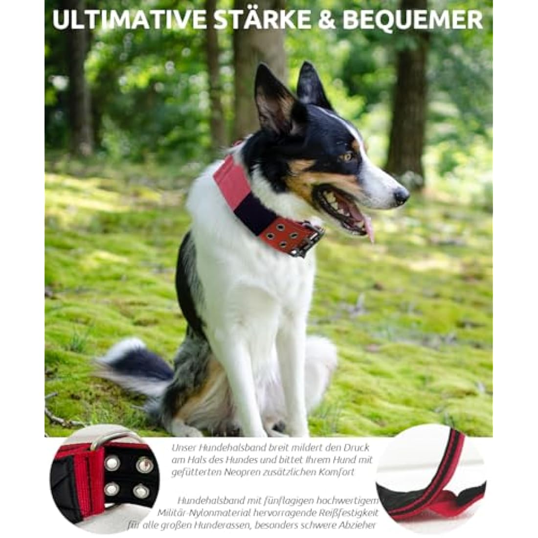 Tactical Dog Collar – Wide Padded Nylon with Handle, Red
