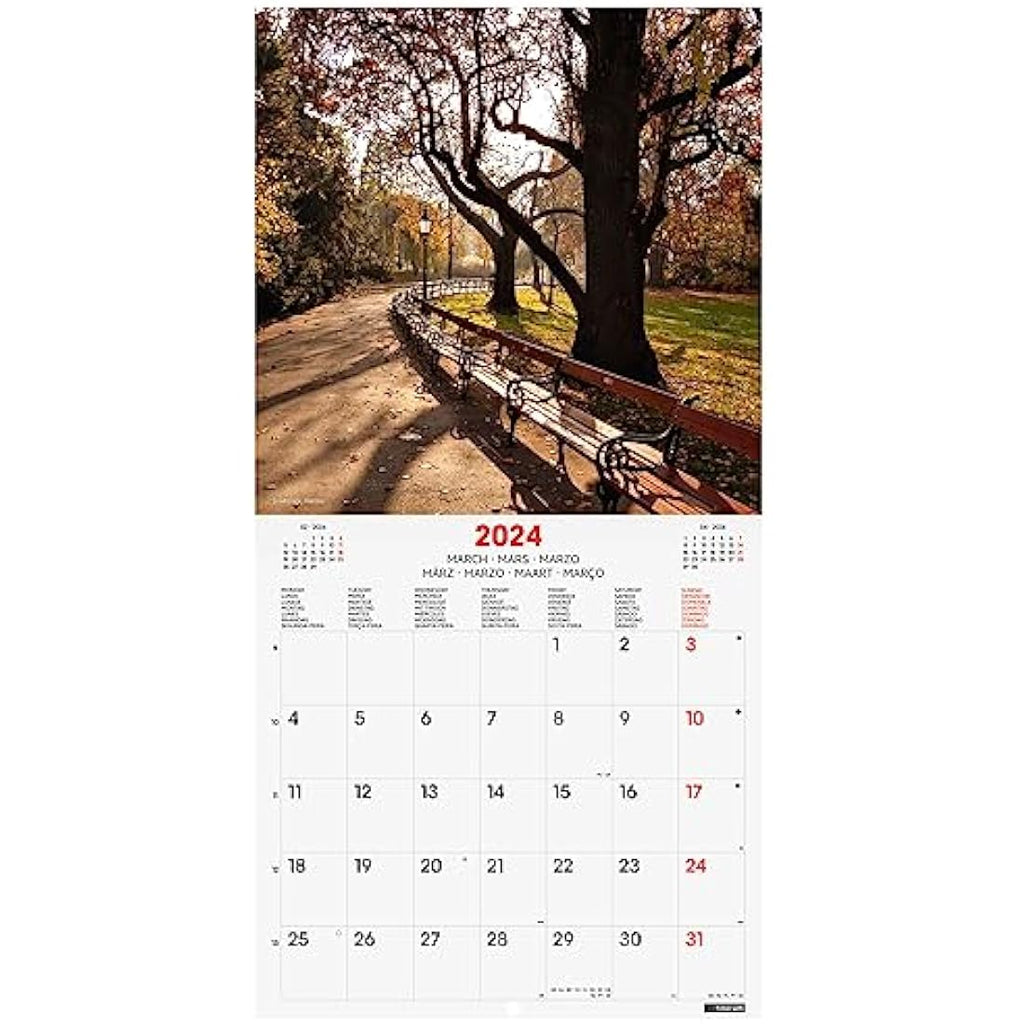 Finocam 2024 Parks International Wall Photo Calendar – 12 Month Planner