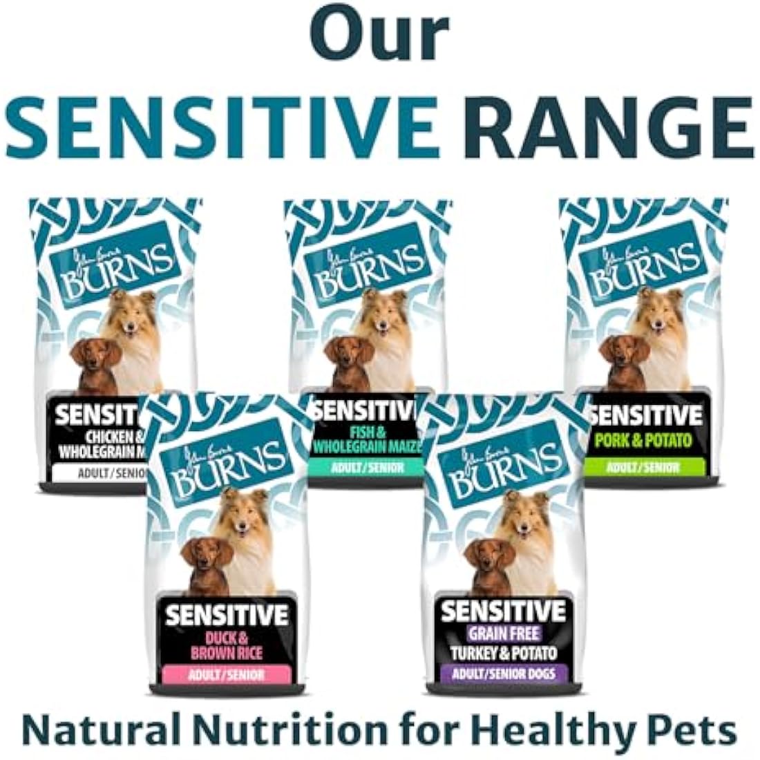 Burns Pet Nutrition Hypoallergenic Grain-Free Dog Food - Turkey 6kg