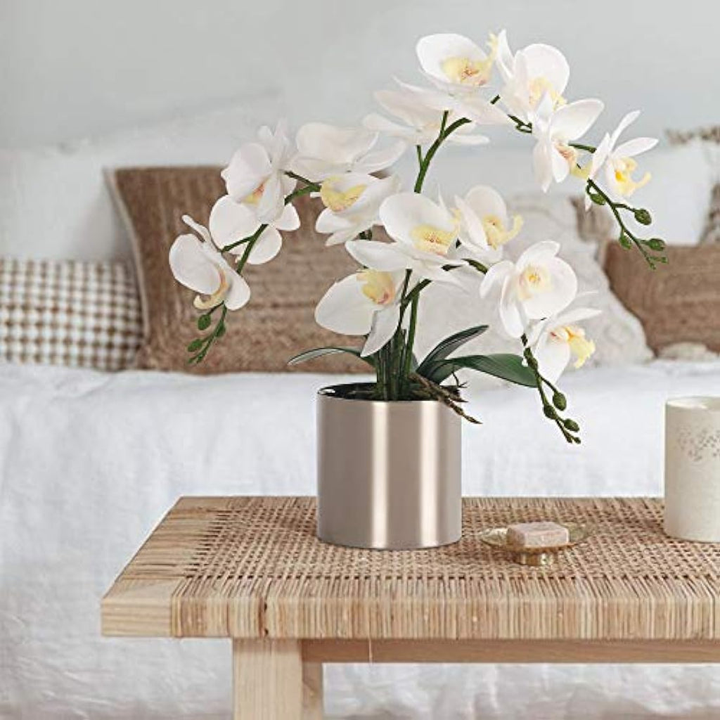 Jolof Store White Artificial Orchid Bonsai | Faux Phalaenopsis with Vase