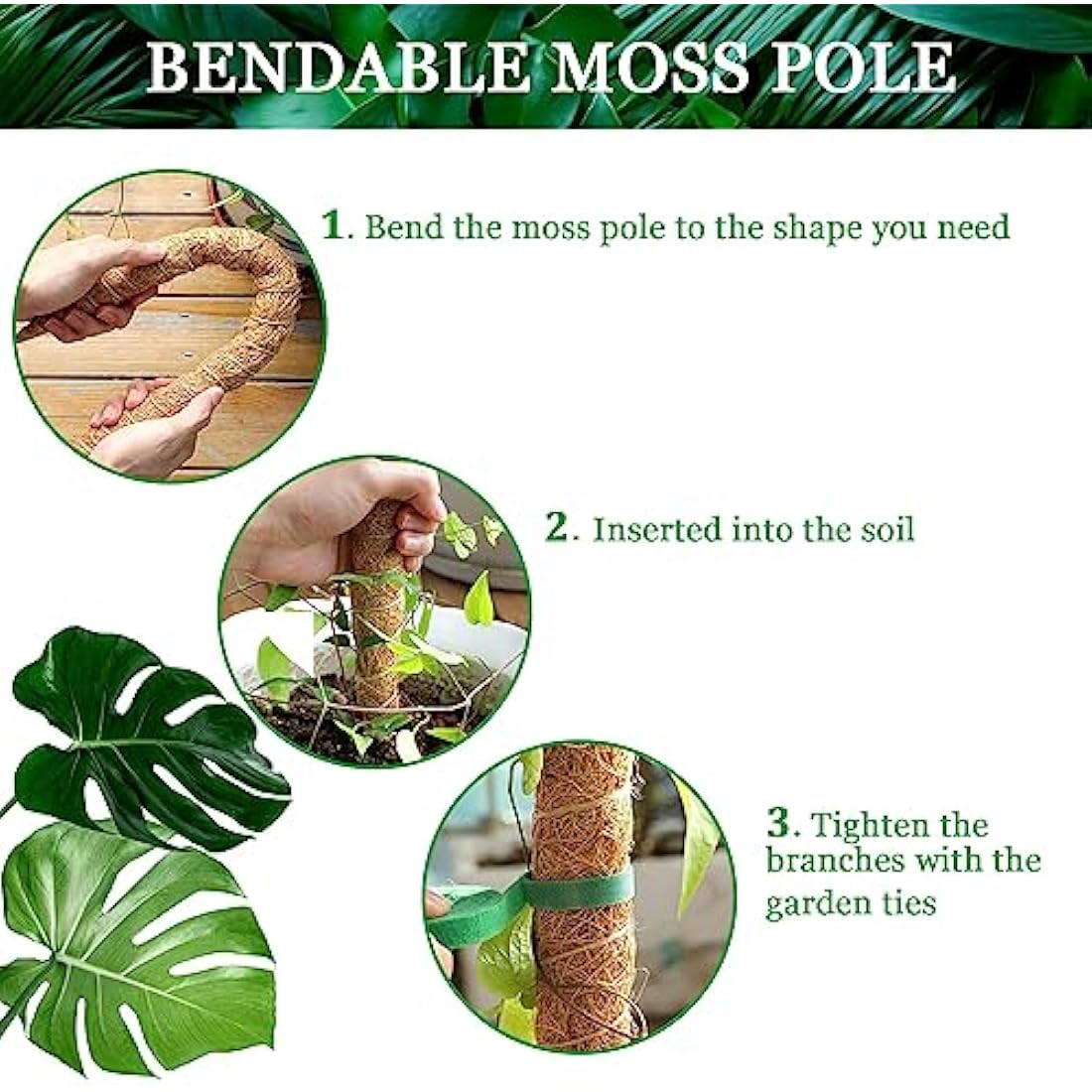 2-Pack Bendable Coir Moss Poles for Monstera - 60cm & 120cm