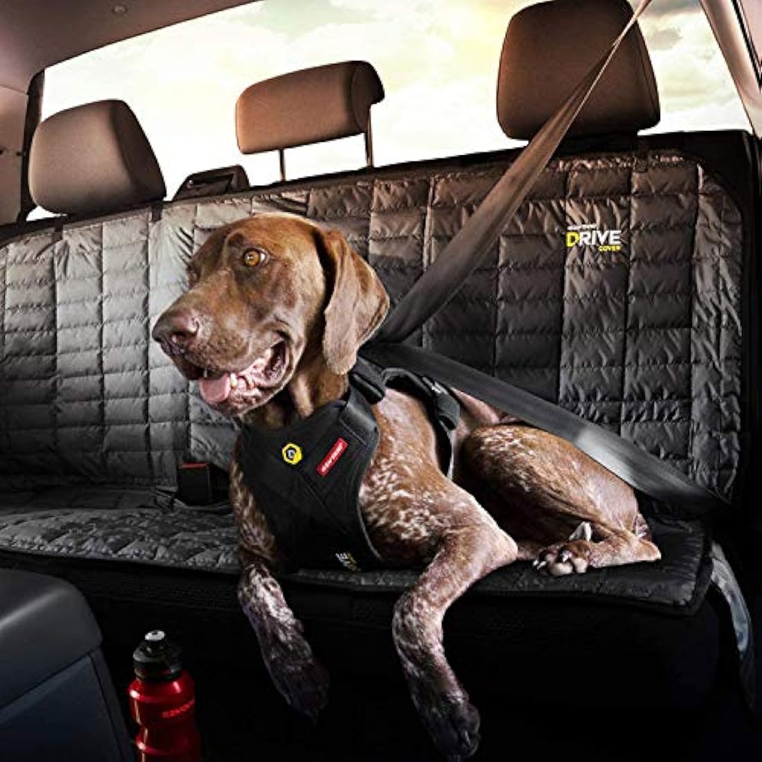EZYDOG Drive Car Harness – Crash Tested Dog Restraint, Small