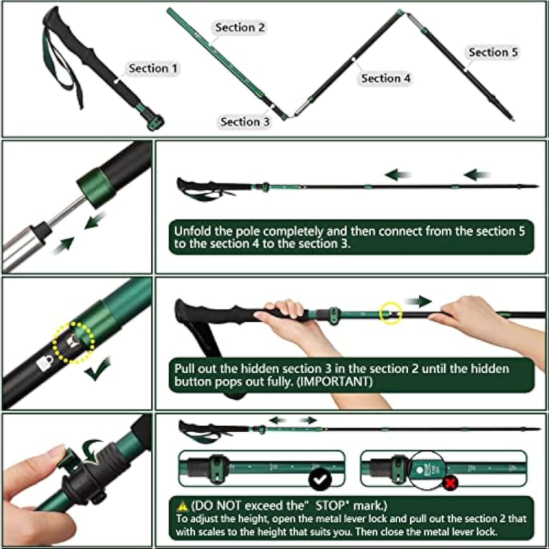 TheFitLife Collapsible Trekking Poles – Lightweight 7075 Aluminum Hiking Sticks