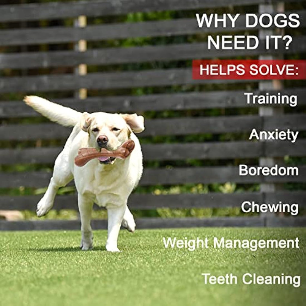 Indestructible Dog Chew Toy – Beef Flavor Durable Nylon