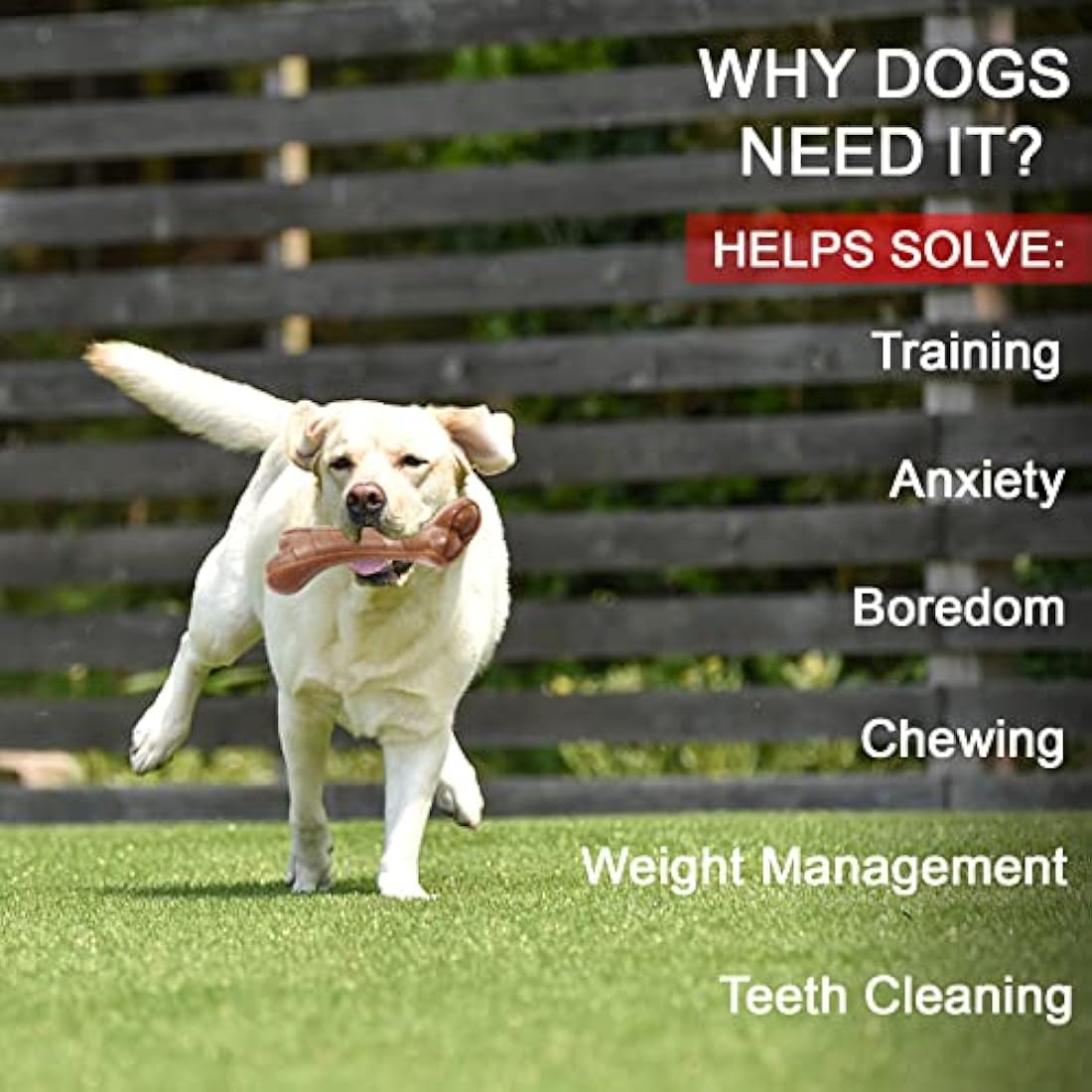 Indestructible Dog Chew Toy – Beef Flavor Durable Nylon
