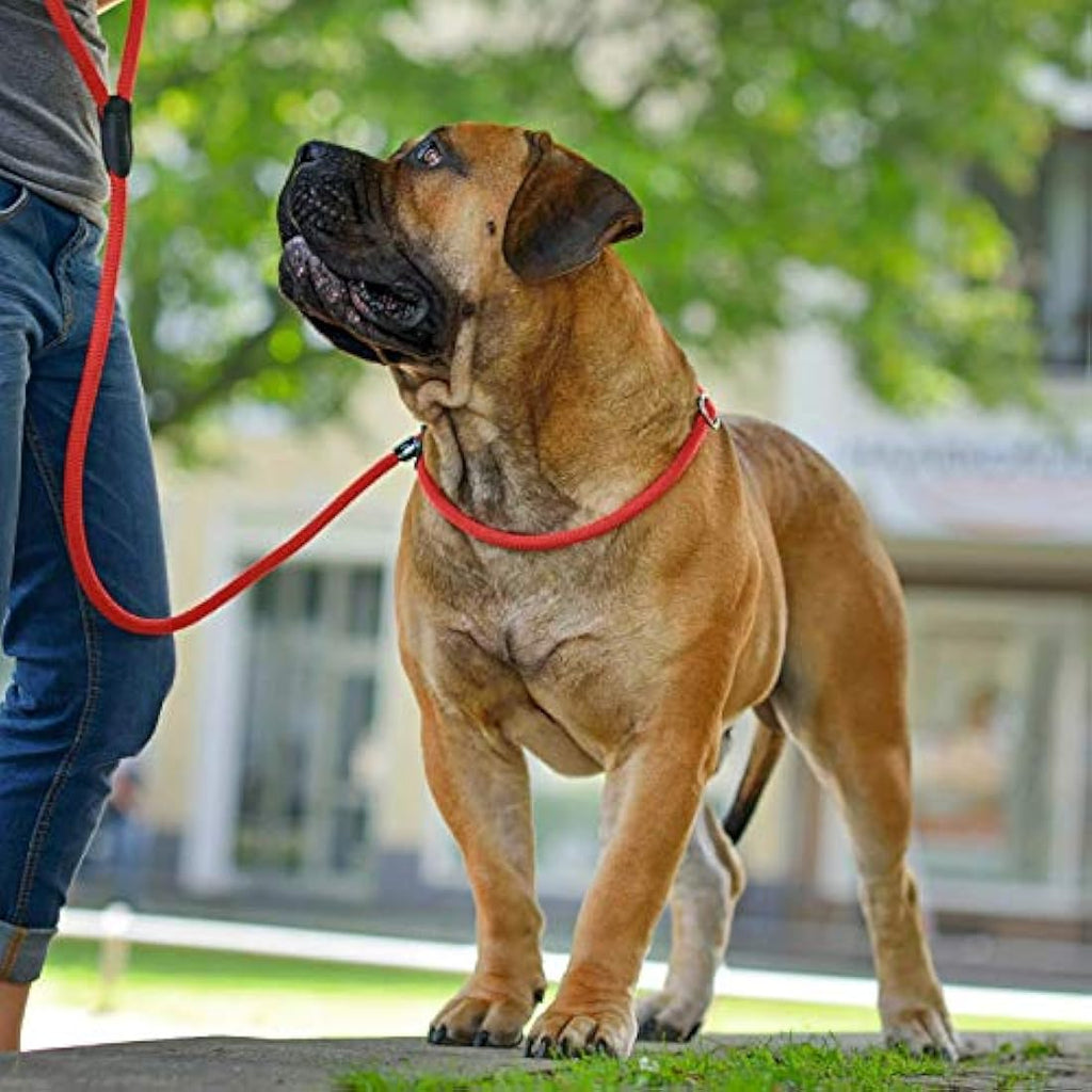 Hunter Freestyle Retriever Leash – Durable 10mm Rope Dog Lead, Red
