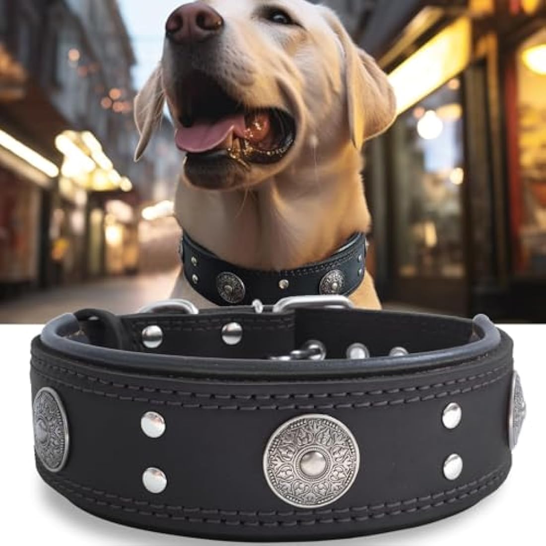 Jolof Store Wide Leather Dog Collar – Padded Handmade Cowhide, Black