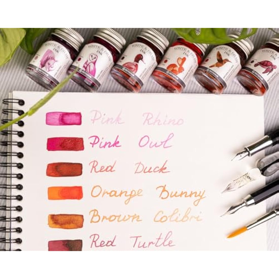 Octopus Write and Draw Waterproof Fountain Pen Ink Set, Desert - 6 x 10ml