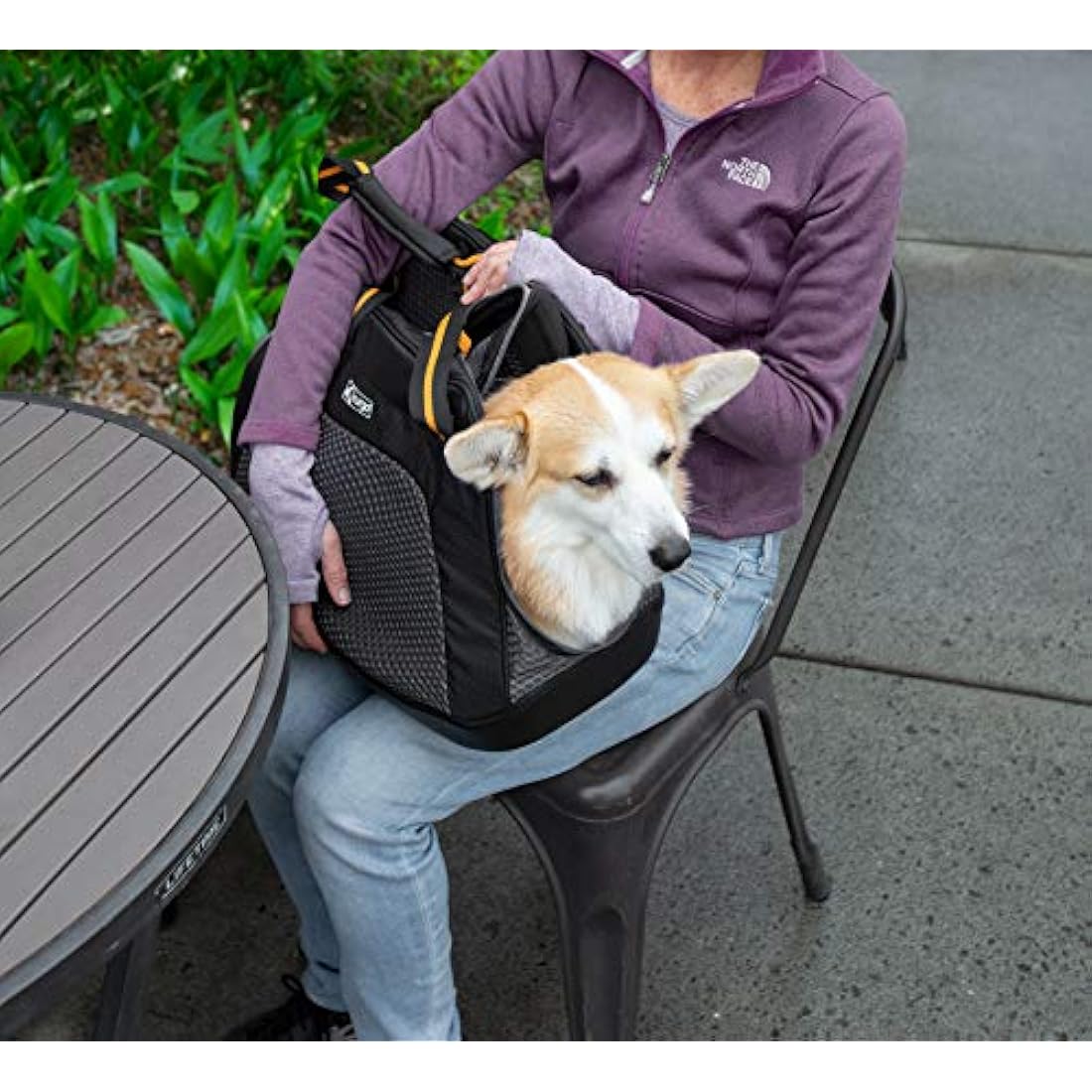 Kurgo Explorer Dog & Cat Carrier – Waterproof Bottom Travel Bag, Black
