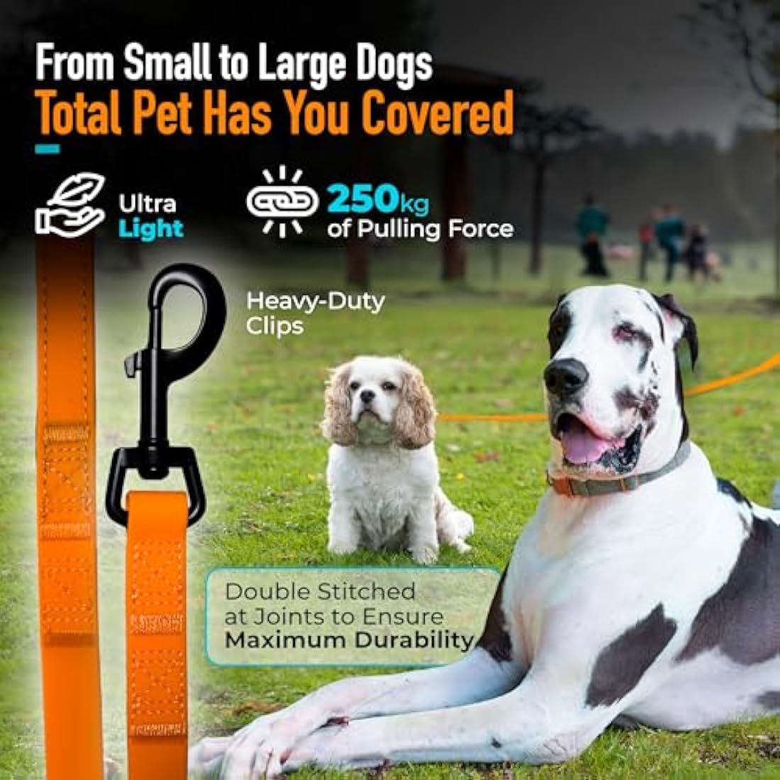 Waterproof Dog Training Lead – 10m Long Line Recall Leash