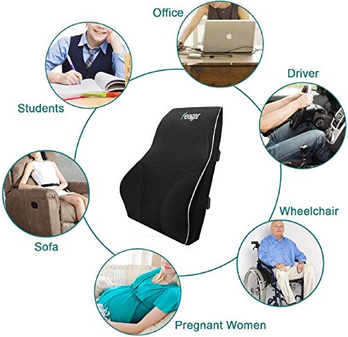 Feagar Lumbar Support Pillow – Memory Foam Back Cushion for Office & Car