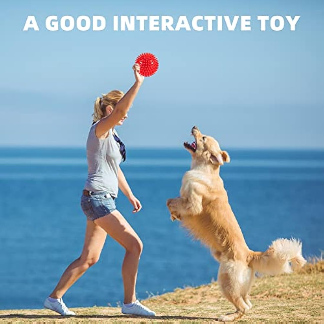 Squeaky Dog Balls – Indestructible 4 Pack for Large Dogs
