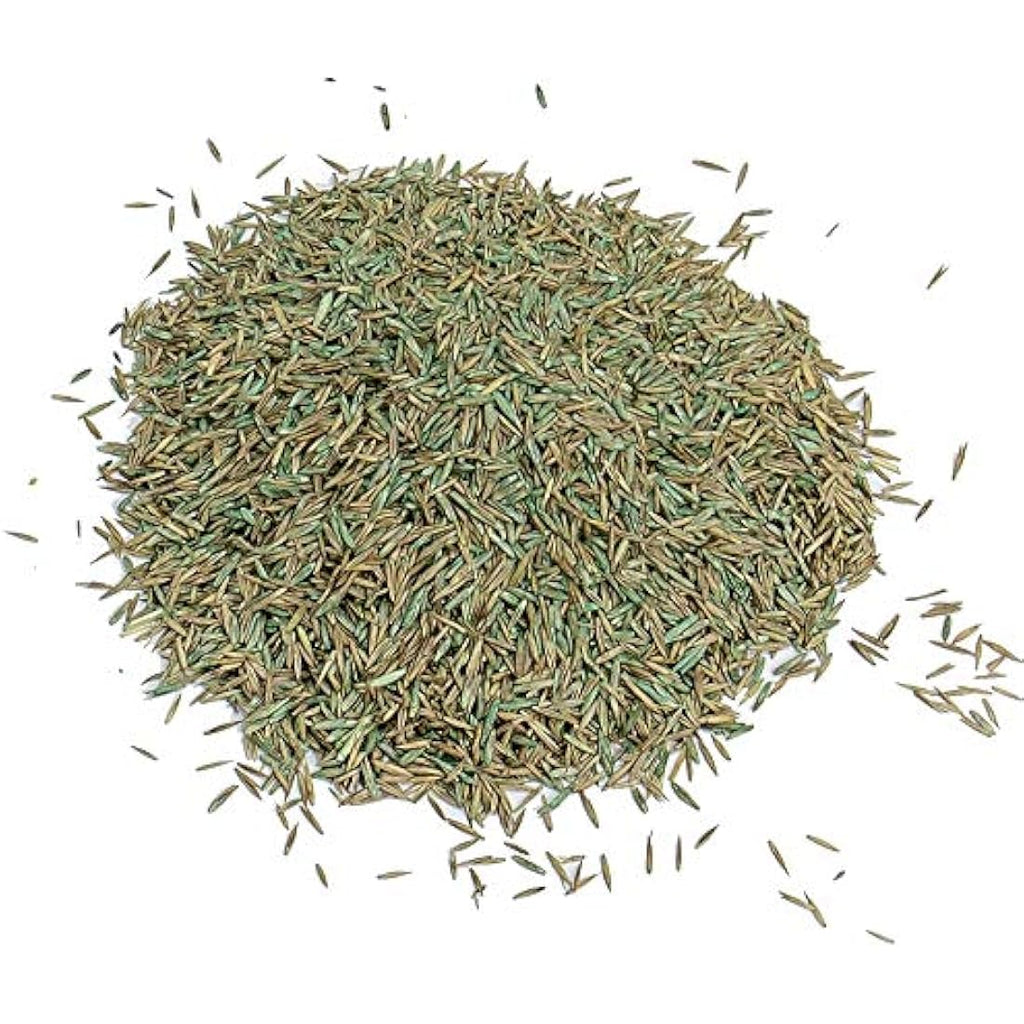 Gro-Sure Fast Acting Grass Lawn Seed – 900g Blue Coated Seed for 30m2