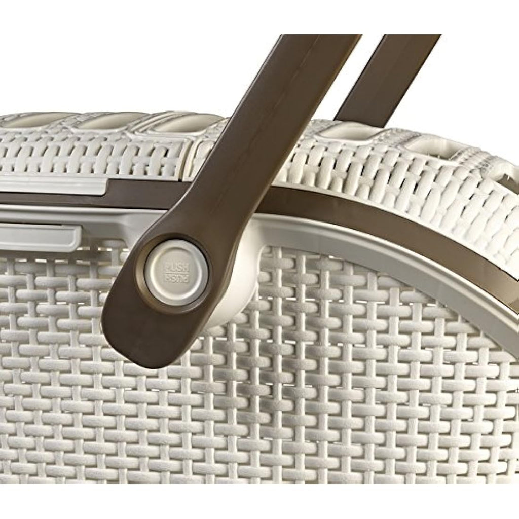 Curver Pet Carrier White – Ventilated Dog and Cat Travel Box, 51cm