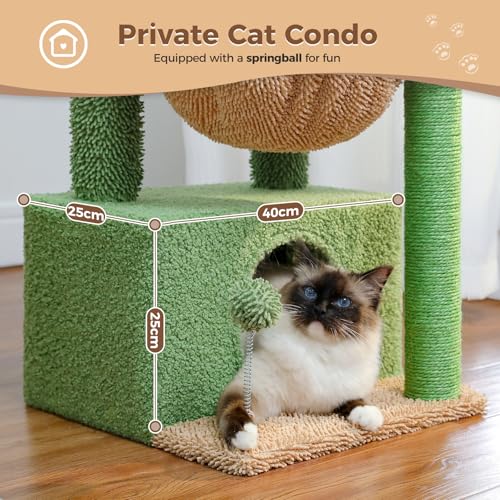 PAWZ Road Cactus Cat Tree with Large Condo and Hammock – 79cm Green