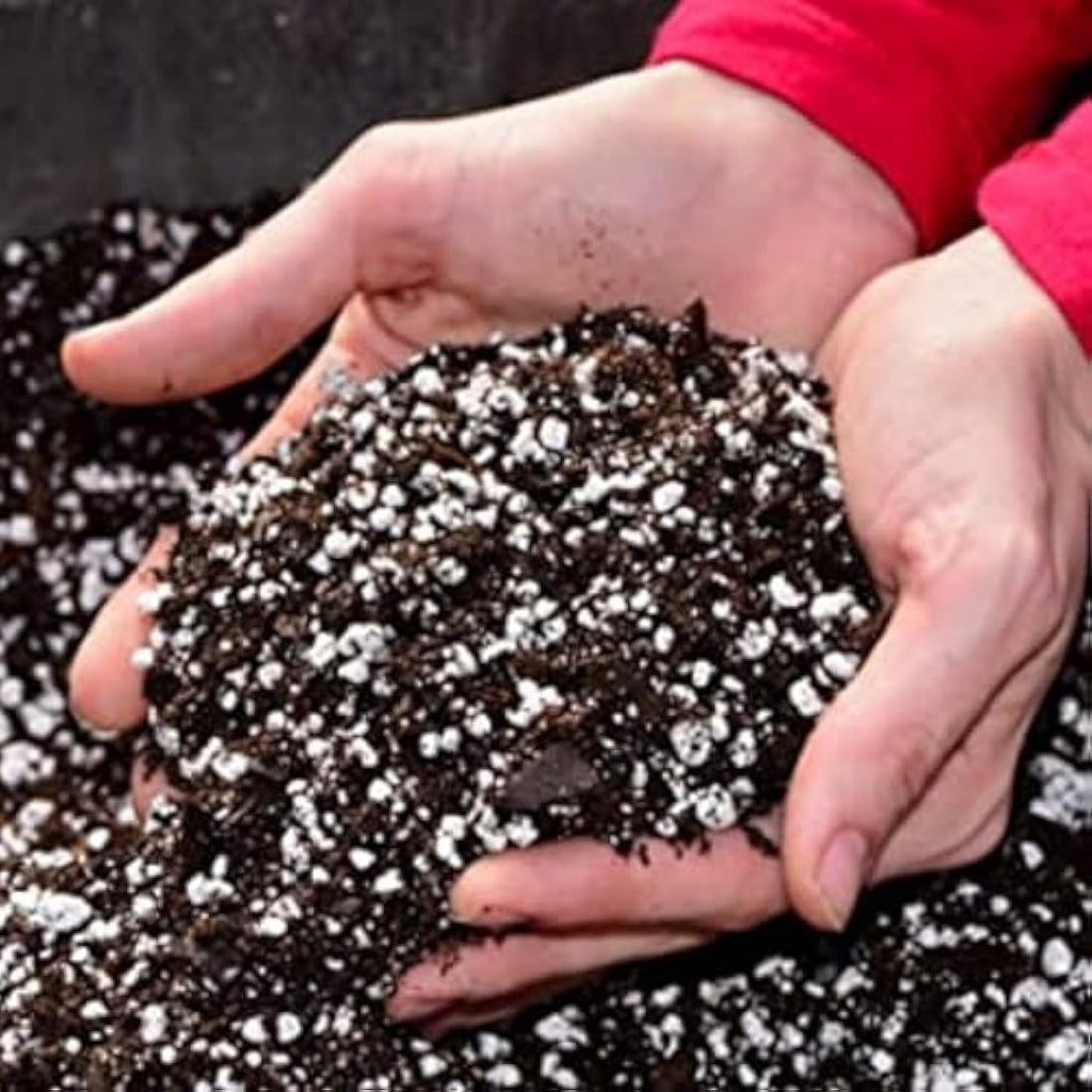 Horticultural Perlite 3-5mm – Soil Amendment for Potting