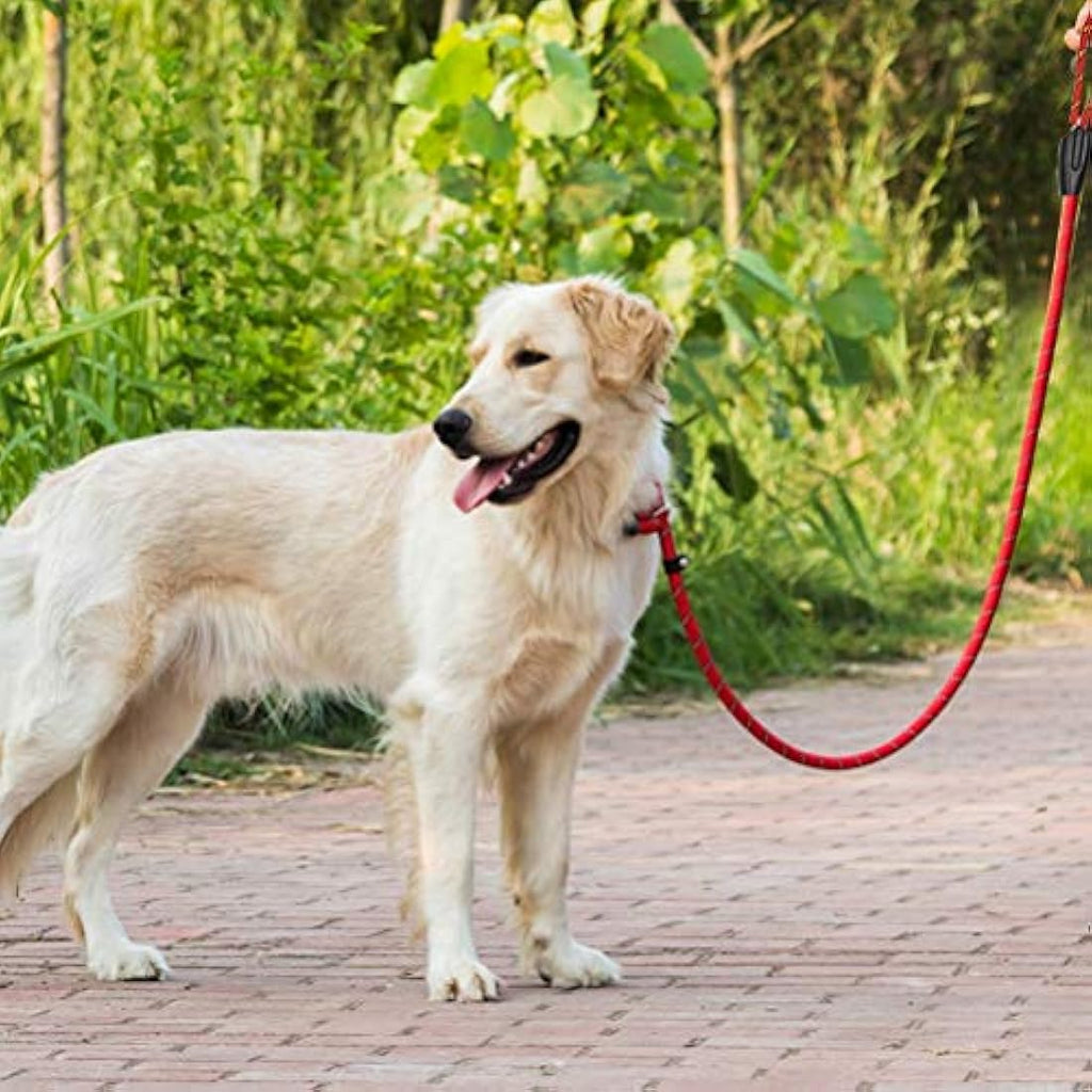 Dog Slip Lead – 125cm Durable Nylon Training Leash, Red