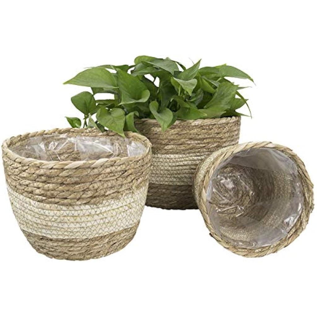 La Jolíe Muse Seagrass Planter Basket - Handwoven Indoor Pots, 3-Pack