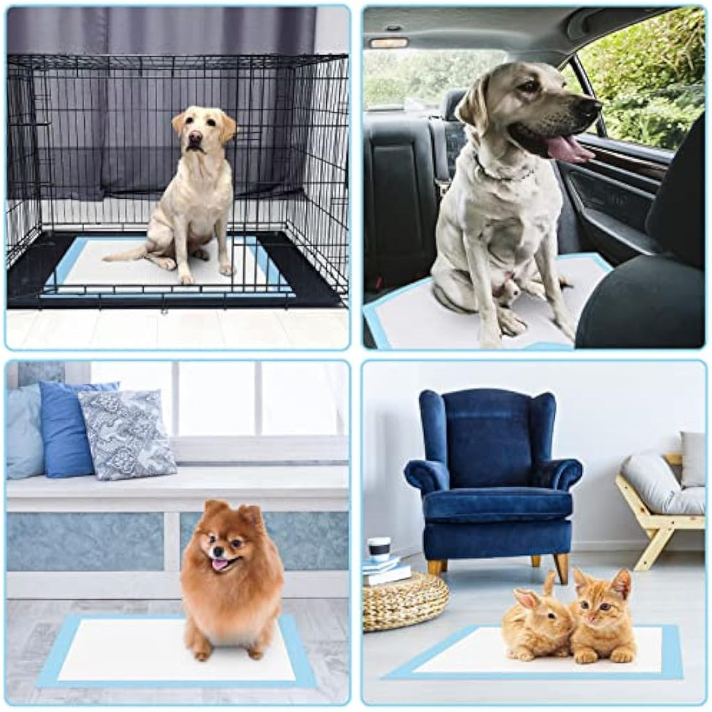 RCruning-EU Puppy Training Pads | 50 Pack Leakproof Dog Pee Mats (60x45cm)