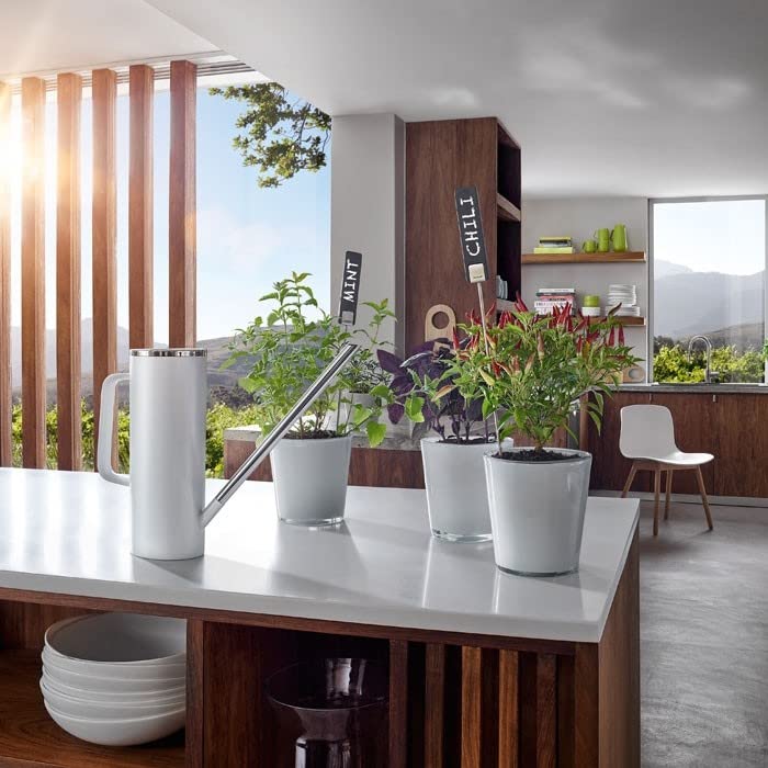 Blomus Limbo 1L Watering Can – Anthracite Modern Indoor Plant Care