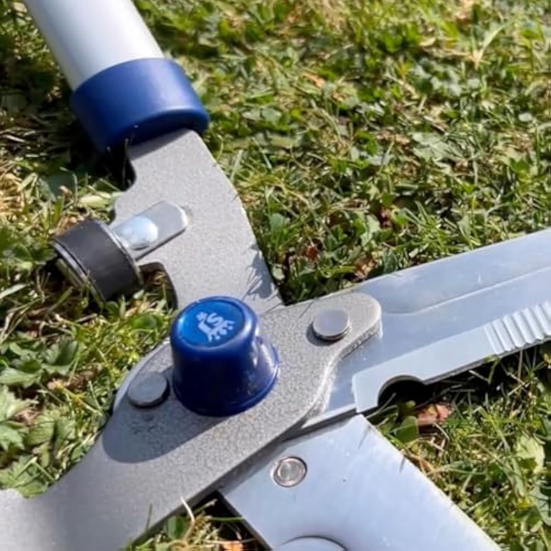 Spear & Jackson Razorsharp Notched Hedge Shears | Carbon Steel Blades