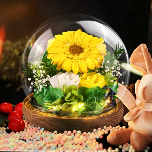 Preserved Sunflower in Glass Dome with LED Lights Gift Box