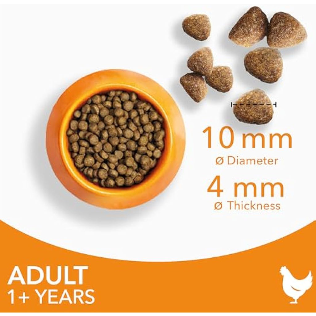 IAMS Adult Dry Cat Food Chicken 10kg – Immune Support & Healthy Skin