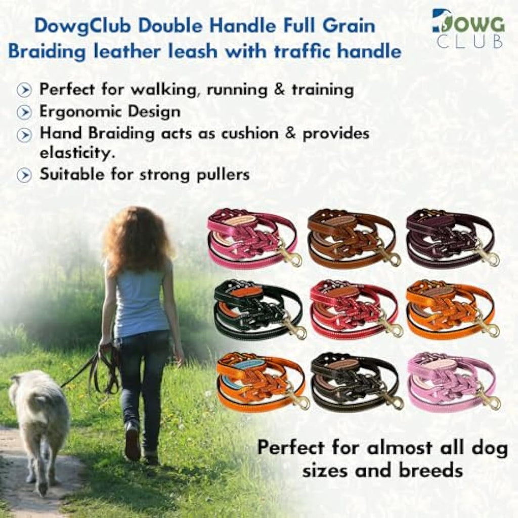 DowgClub 6' Leather Dog Leash | Dual Handle Braided Heavy Duty Lead - Tan
