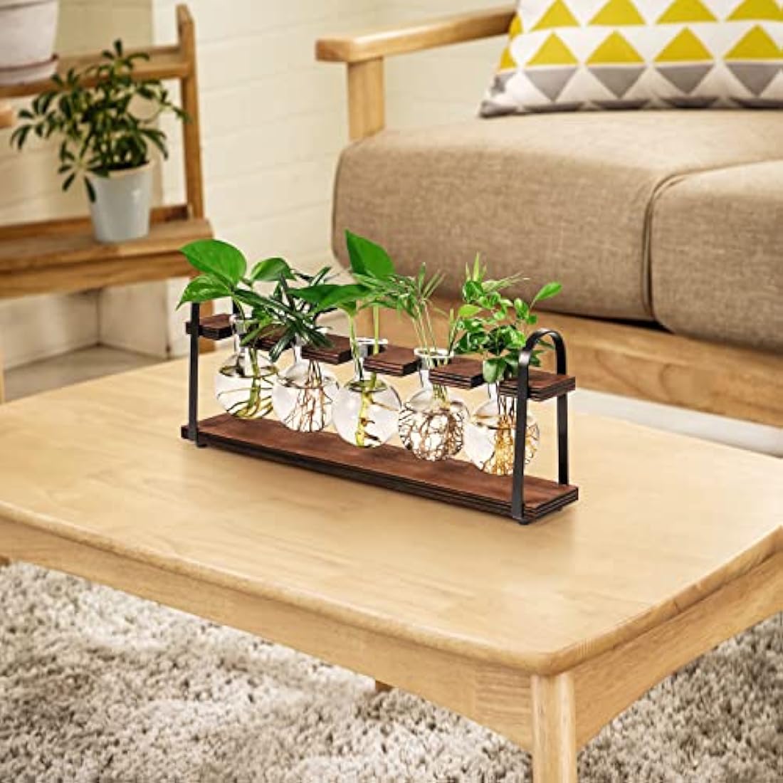 Jolof Store Retro Plant Propagation Station | Glass Bulb Vase Terrarium