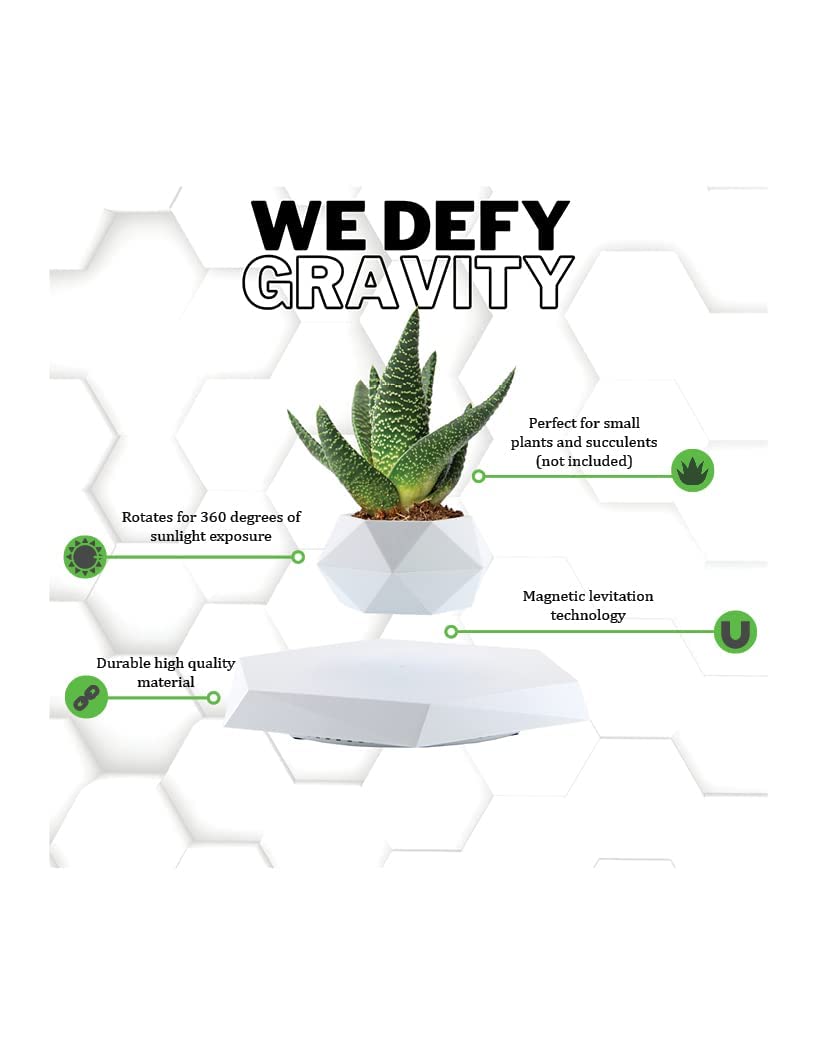 BandD Levitating Plant Pot | Magnetic Floating Planter for Bonsai & Air Plants