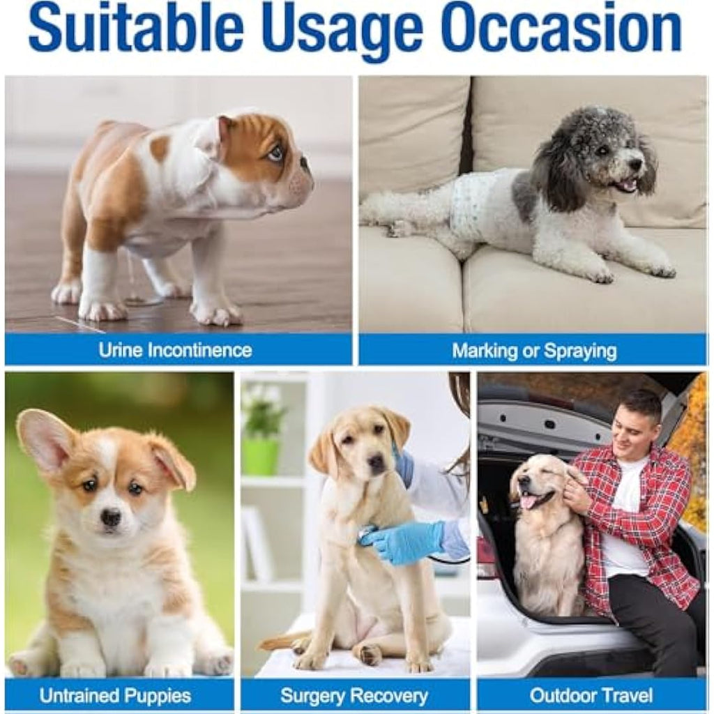 Pet Soft Male Dog Wraps | Super Absorbent Disposable Nappies - 48 Pack