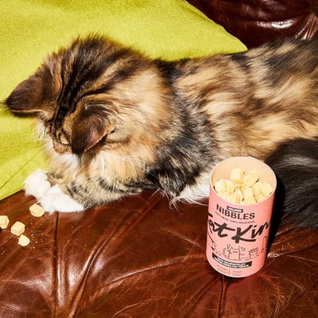 KatKin Salmon Nibbles | Freeze-Dried Cat Treats | 100% Salmon Fillet (4 Pack)