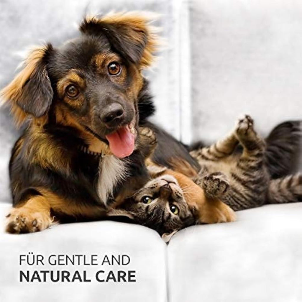 AniForte Ear Mite Drops – Natural Treatment for Dogs, Cats and Pets