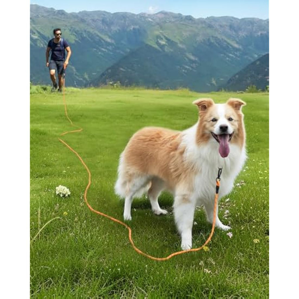 Long Dog Training Lead – Padded Handle Recall Leash, Orange, 5M