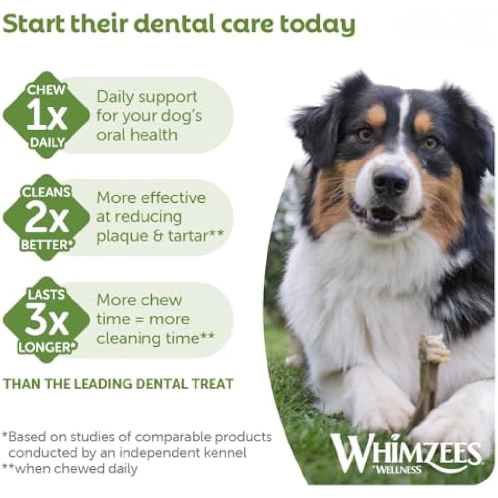 WHIMZEES Hedgehog Dog Dental Sticks | Large Breed Grain-Free Chews - 6ct