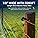 My Animal Command 1000m Solar Polywire Electric Fence – 3mm UV Treated