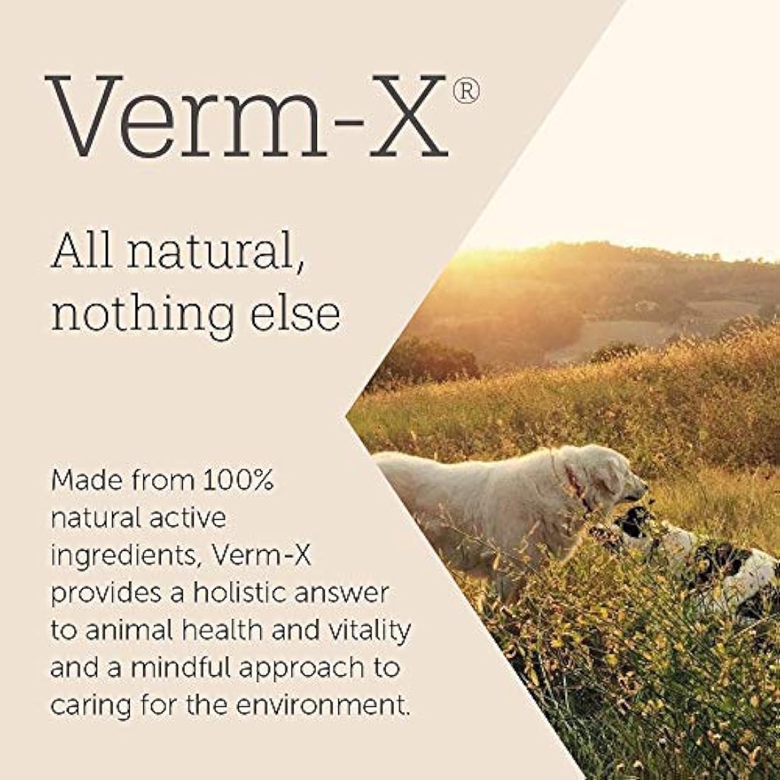 Verm-X All Natural Liquid for Dogs | Intestinal Hygiene & Gut Vitality