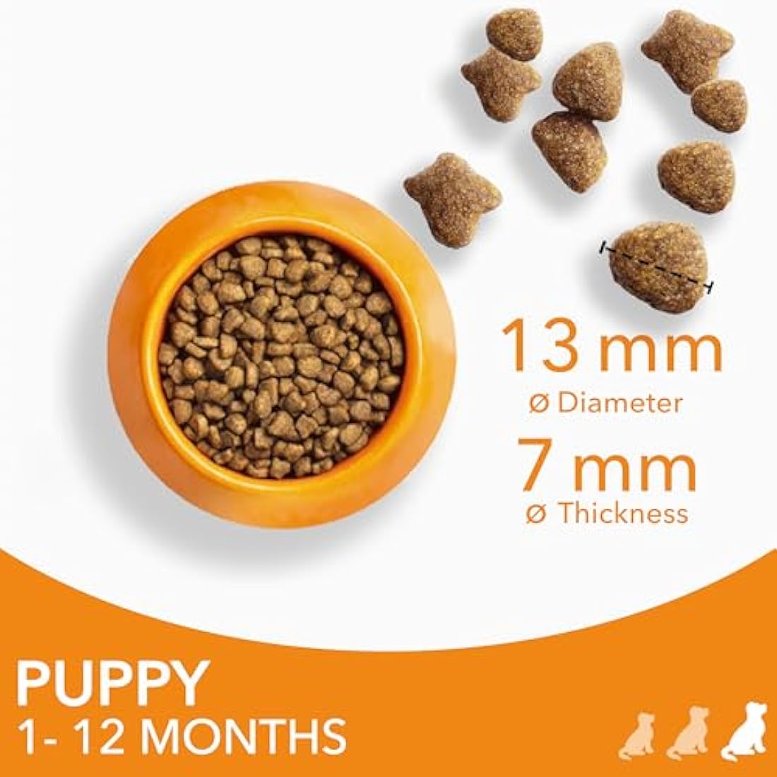 IAMS Large Breed Puppy Dry Dog Food - Chicken Recipe, 12kg Bag