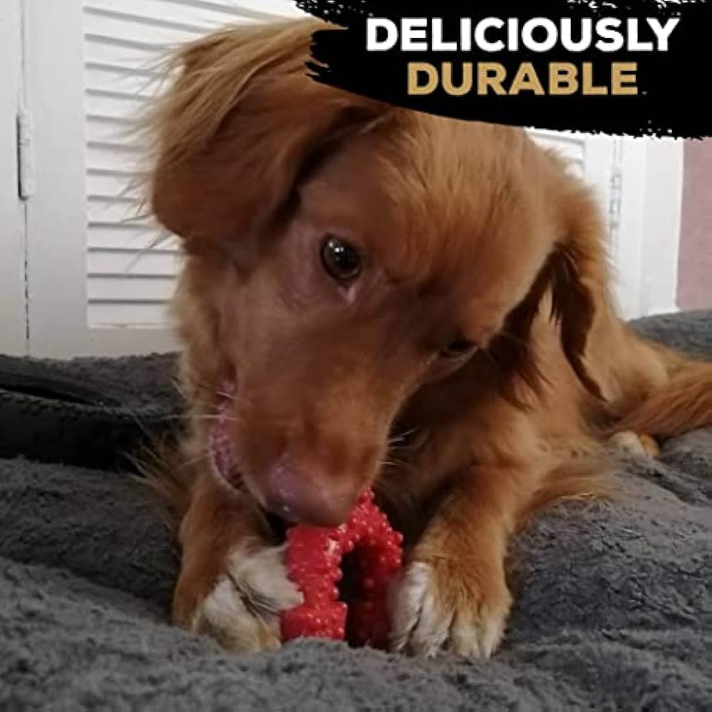 TastyBone TrioBone Beef Nylon Dog Chew Toy for Aggressive Chewers
